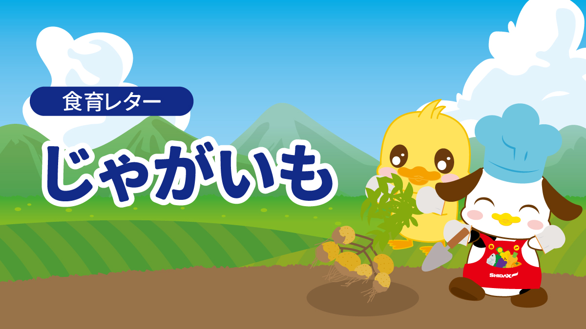 食育レター　じゃがいも